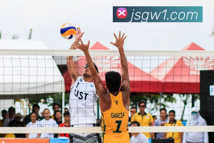 App Interface Preview